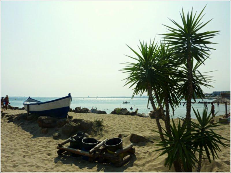 Family Hotel Venera Sveti Vlas Εξωτερικό φωτογραφία